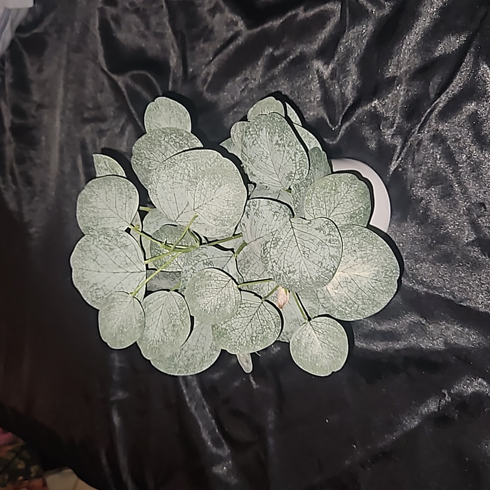 Fake Plant